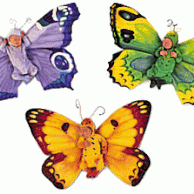 butterfly1986
